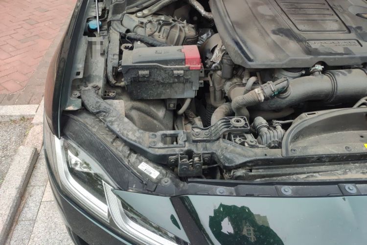 Used Jaguar XFL 2023 XFL 2.0T P300 Four-Wheel-Drive Flagship Sport Edition Engine Bay Right