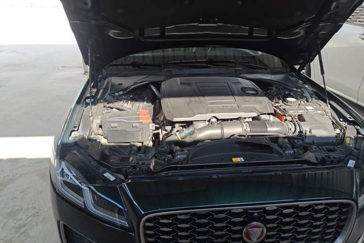 Used Jaguar XFL 2023 XFL 2.0T P250 Two-Wheel-Drive Luxury Deluxe Edition Engine Bay Right