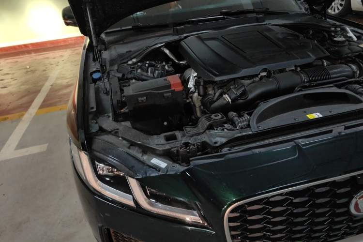 Used Jaguar XFL 2023 XFL 2.0T P250 Two-Wheel-Drive Elite Sport Edition Engine Bay Right