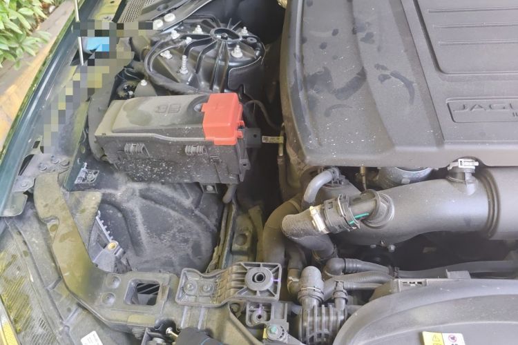 Used Jaguar XFL 2023 XFL 2.0T P250 Two-Wheel-Drive Luxury Deluxe Edition Engine Bay Right