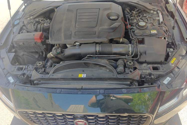 Used Jaguar XFL 2023 XFL 2.0T P250 Two-Wheel-Drive Elite Sport Gold Edition Engine Bay