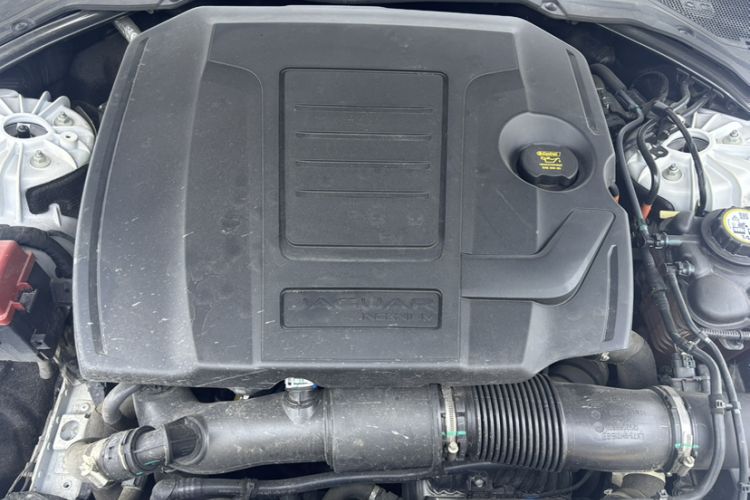 Used Jaguar XFL 2023 XFL 2.0T P250 Two-Wheel-Drive Elite Sport Edition Engine Bay