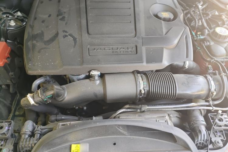 Used Jaguar XFL 2023 XFL 2.0T P250 Two-Wheel-Drive Luxury Deluxe Edition Engine Bay
