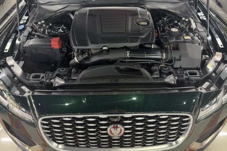 Used Jaguar XFL 2023 XFL 2.0T P200 Two-Wheel-Drive Elite Luxury Edition Engine Bay