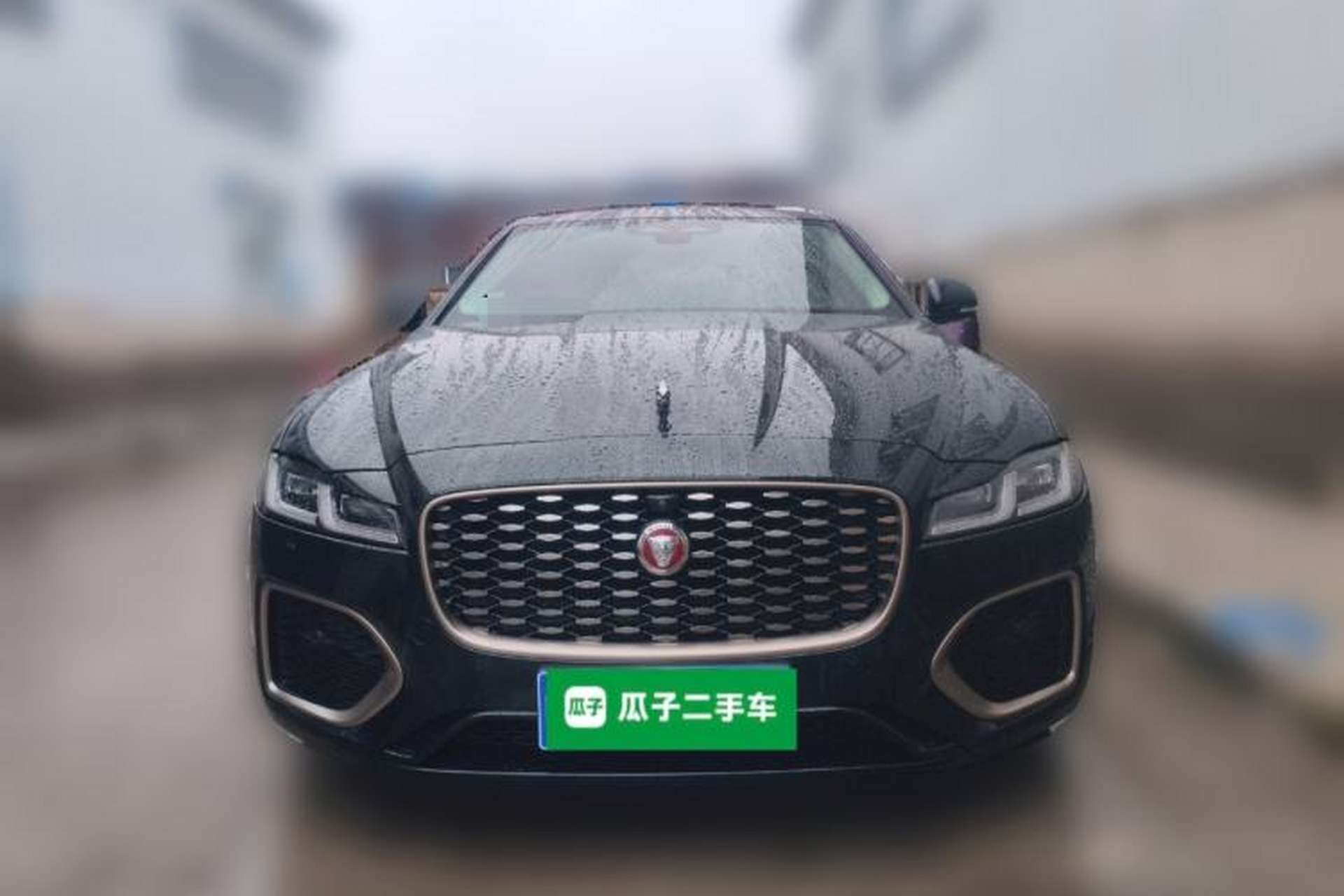 Used Jaguar XFL 2023 XFL 2.0T P250 Two-Wheel-Drive Prestige Luxury Gold Edition Front