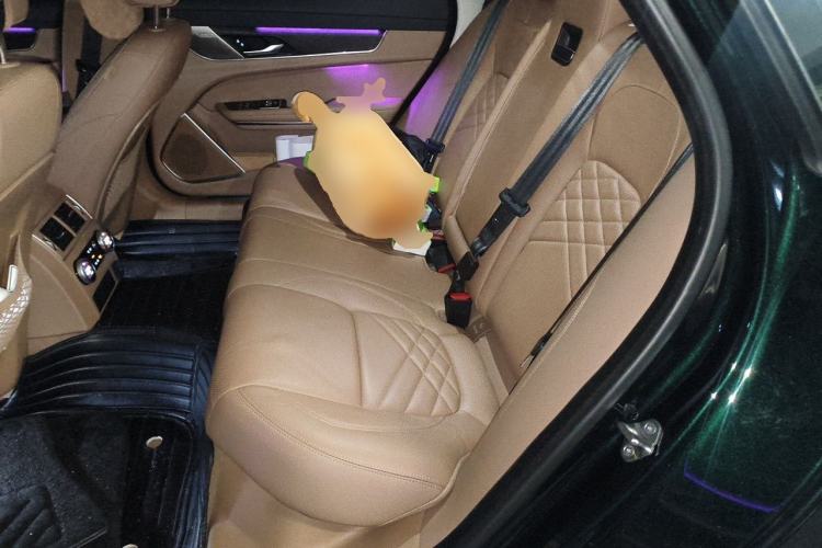 Used Jaguar XFL 2023 XFL 2.0T P250 Two-Wheel-Drive Luxury Deluxe Edition Left Rear Seat
