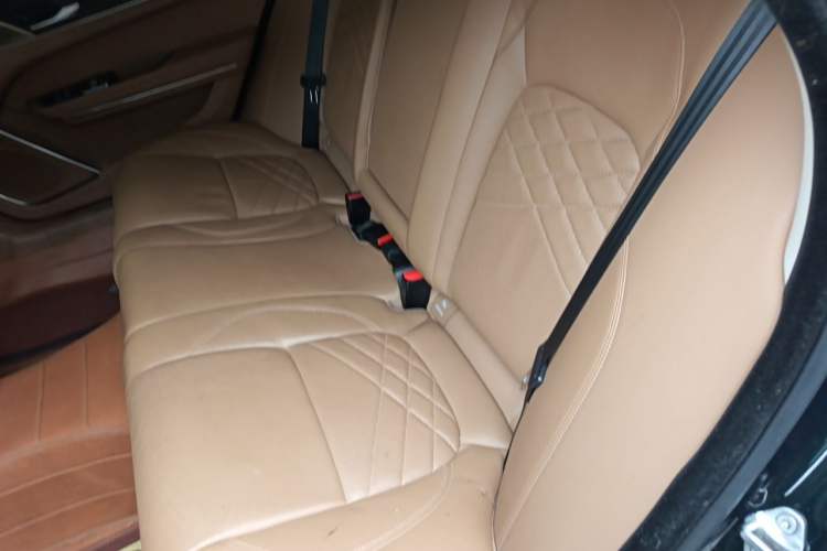 Used Jaguar XFL 2023 XFL 2.0T P250 Two-Wheel-Drive Luxury Deluxe Edition Left Rear Seat