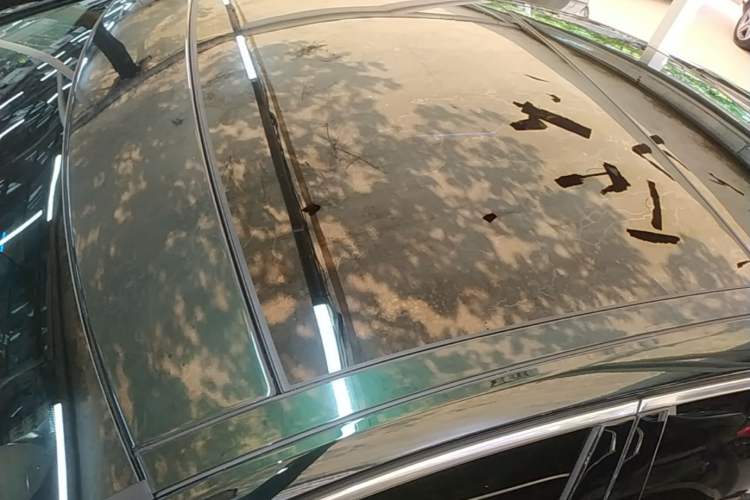 Used Jaguar XFL 2023 XFL 2.0T P250 Two-Wheel-Drive Luxury Deluxe Edition Roof