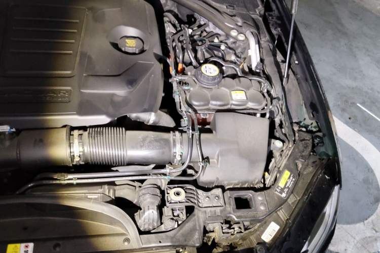 Used Jaguar XFL 2023 XFL 2.0T P250 Two-Wheel-Drive Luxury Deluxe Edition Engine Bay Left