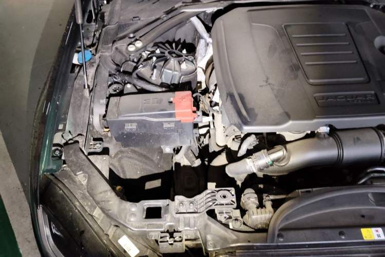 Used Jaguar XFL 2023 XFL 2.0T P250 Two-Wheel-Drive Luxury Deluxe Edition Engine Bay Right