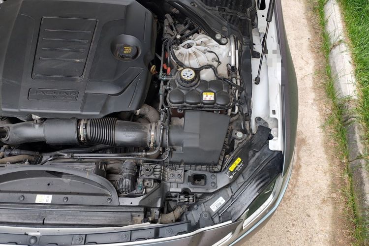 Used Jaguar XFL 2023 XFL 2.0T P300 Four-Wheel-Drive Flagship Sport Edition Engine Bay Left