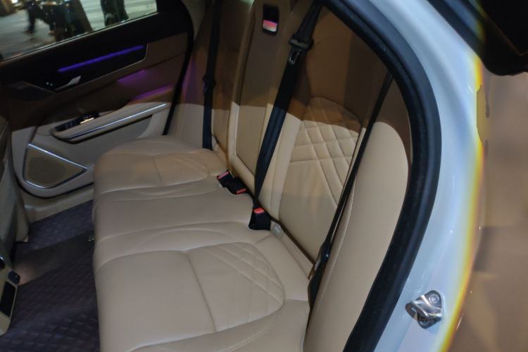 Used Jaguar XFL 2023 XFL 2.0T P250 Two-Wheel-Drive Prestige Luxury Gold Edition Left Rear Seat