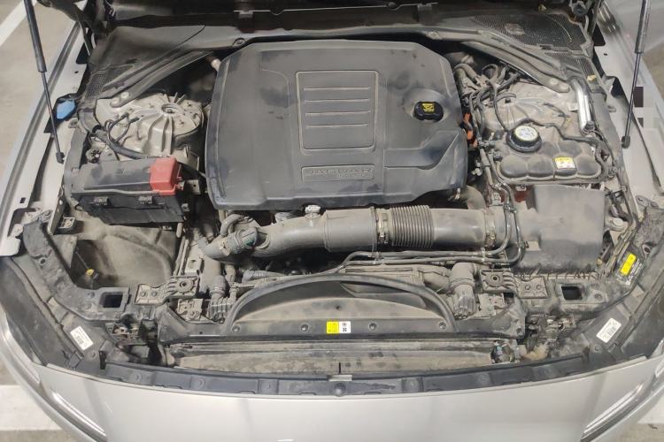 Used Jaguar XFL 2023 XFL 2.0T P250 Two-Wheel-Drive Luxury Deluxe Edition Engine Bay