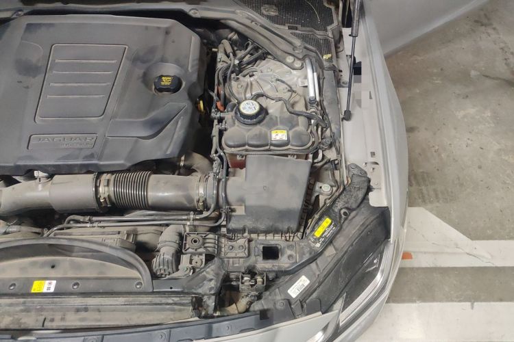 Used Jaguar XFL 2023 XFL 2.0T P250 Two-Wheel-Drive Luxury Deluxe Edition Engine Bay Left