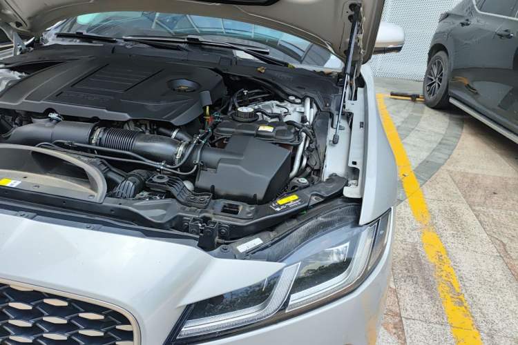 Used Jaguar XFL 2023 XFL 2.0T P250 Two-Wheel-Drive Prestige Luxury Gold Edition Engine Bay Left