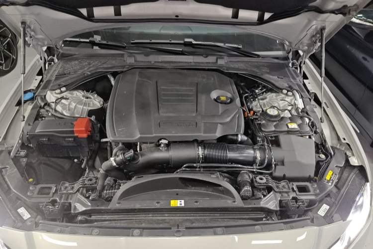 Used Jaguar XFL 2023 XFL 2.0T P250 Two-Wheel-Drive Elite Sport Edition Engine Bay