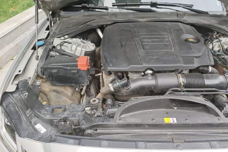 Used Jaguar XFL 2023 XFL 2.0T P250 Two-Wheel-Drive Elite Sport Gold Edition Engine Bay Right