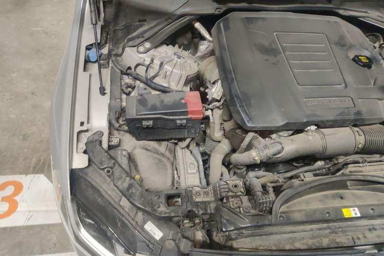 Used Jaguar XFL 2023 XFL 2.0T P250 Two-Wheel-Drive Luxury Deluxe Edition Engine Bay Right