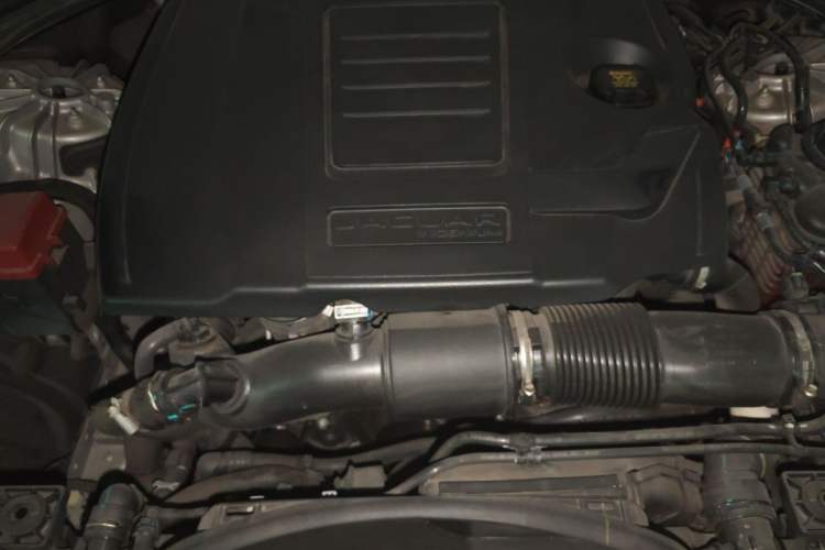 Used Jaguar XFL 2023 XFL 2.0T P250 Two-Wheel-Drive Prestige Luxury Gold Edition Engine Bay