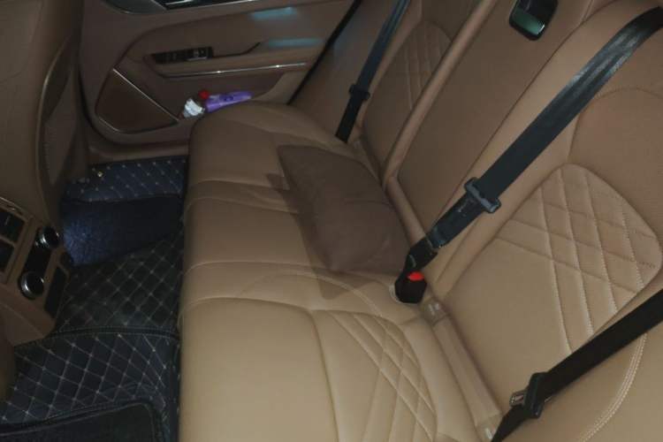 Used Jaguar XFL 2023 XFL 2.0T P250 Two-Wheel-Drive Prestige Luxury Gold Edition Left Rear Seat