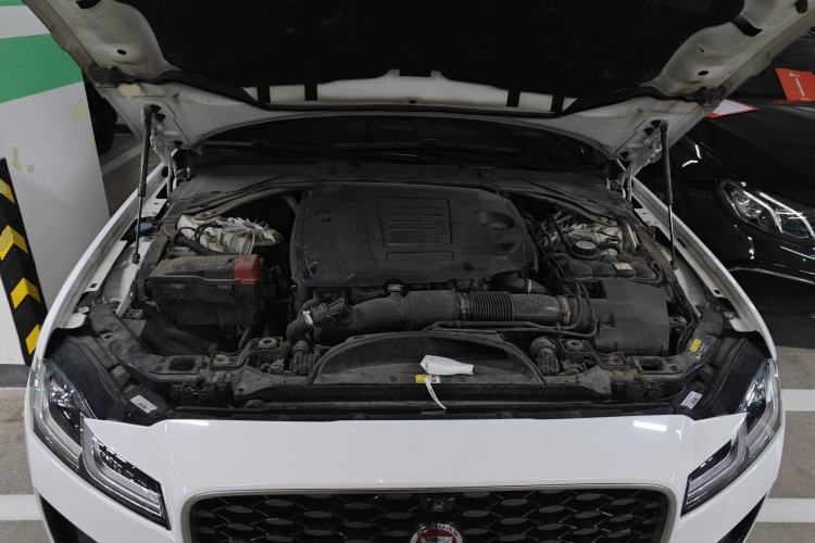 Used Jaguar XFL 2023 XFL 2.0T P250 Two-Wheel-Drive Elite Sport Edition Engine Bay