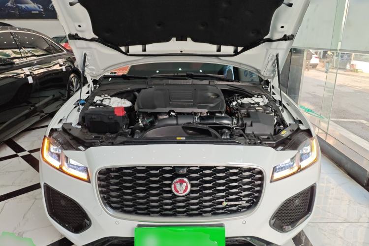 Used Jaguar XFL 2023 XFL 2.0T P250 Two-Wheel-Drive Elite Sport Gold Edition Engine Bay