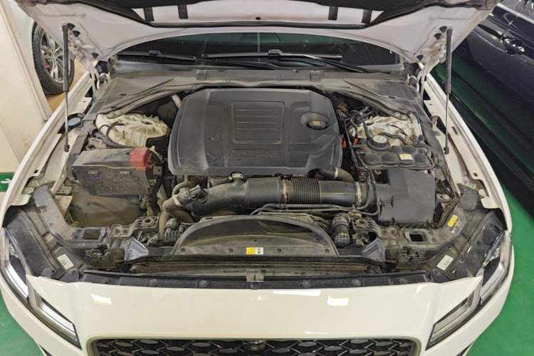 Used Jaguar XFL 2023 XFL 2.0T P250 Two-Wheel-Drive Elite Sport Edition Engine Bay