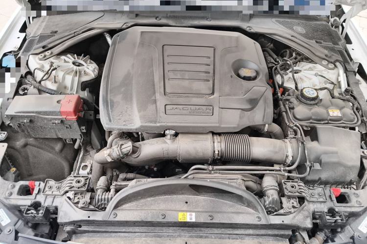 Used Jaguar XFL 2023 XFL 2.0T P250 Two-Wheel-Drive Elite Sport Edition Engine Bay