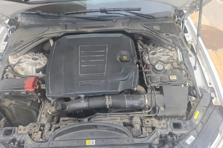 Used Jaguar XFL 2023 XFL 2.0T P250 Two-Wheel-Drive Elite Sport Edition Engine Bay