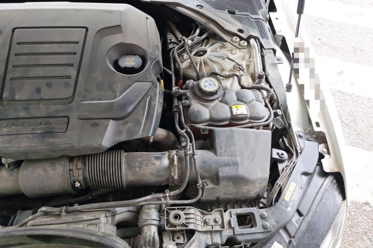Used Jaguar XFL 2023 XFL 2.0T P250 Two-Wheel-Drive Elite Sport Edition Engine Bay Left