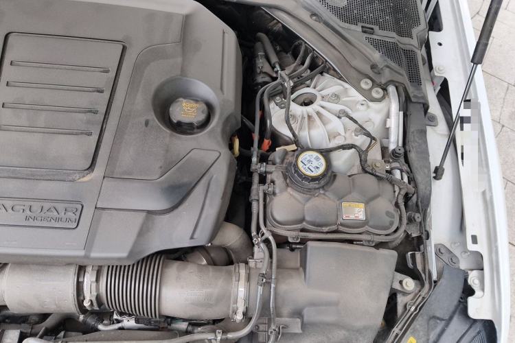 Used Jaguar XFL 2023 XFL 2.0T P250 Two-Wheel-Drive Elite Sport Edition Engine Bay Left