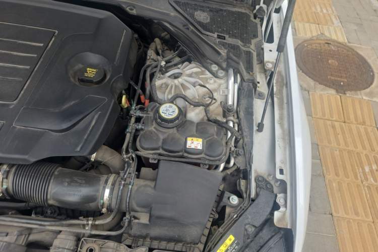 Used Jaguar XFL 2023 XFL 2.0T P250 Two-Wheel-Drive Elite Sport Edition Engine Bay Left