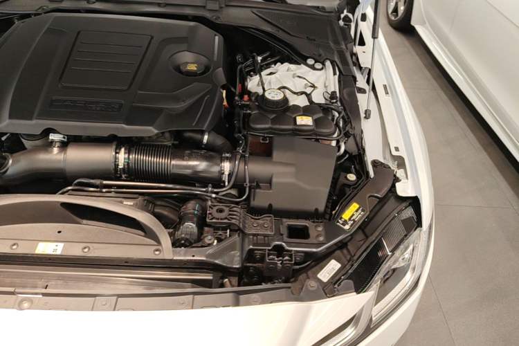Used Jaguar XFL 2023 XFL 2.0T P250 Two-Wheel-Drive Elite Sport Edition Engine Bay Left