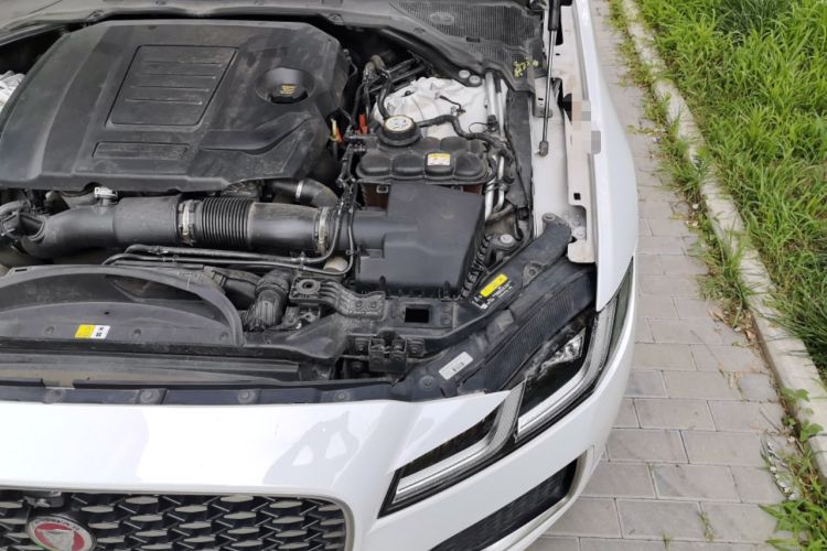 Used Jaguar XFL 2023 XFL 2.0T P200 Two-Wheel-Drive Elite Luxury Edition Engine Bay Left