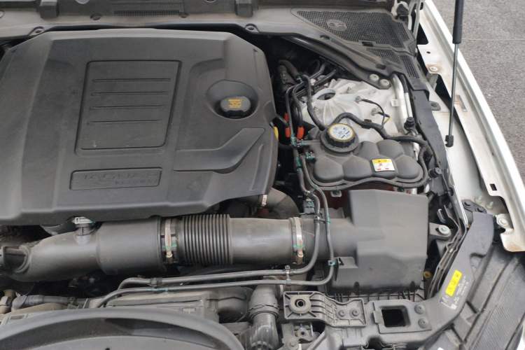 Used Jaguar XFL 2023 XFL 2.0T P250 Two-Wheel-Drive Elite Sport Edition Engine Bay Left