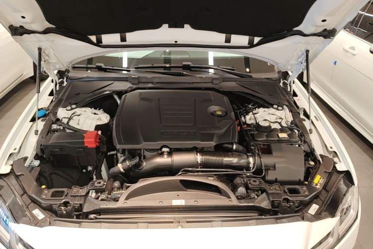 Used Jaguar XFL 2023 XFL 2.0T P250 Two-Wheel-Drive Elite Sport Edition Engine Bay
