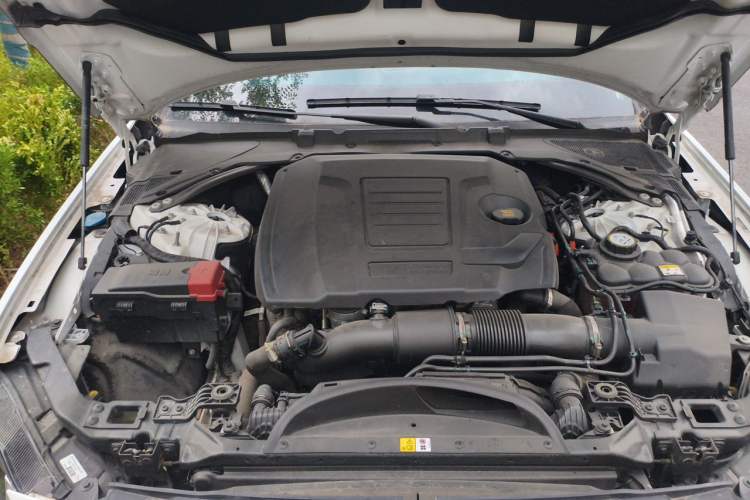 Used Jaguar XFL 2023 XFL 2.0T P250 Two-Wheel-Drive Elite Sport Edition Engine Bay
