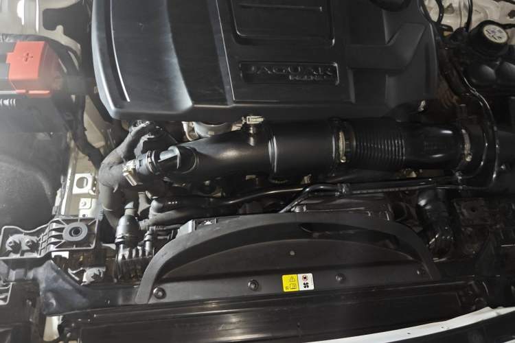 Used Jaguar XFL 2023 XFL 2.0T P250 Two-Wheel-Drive Luxury Deluxe Edition Engine Bay