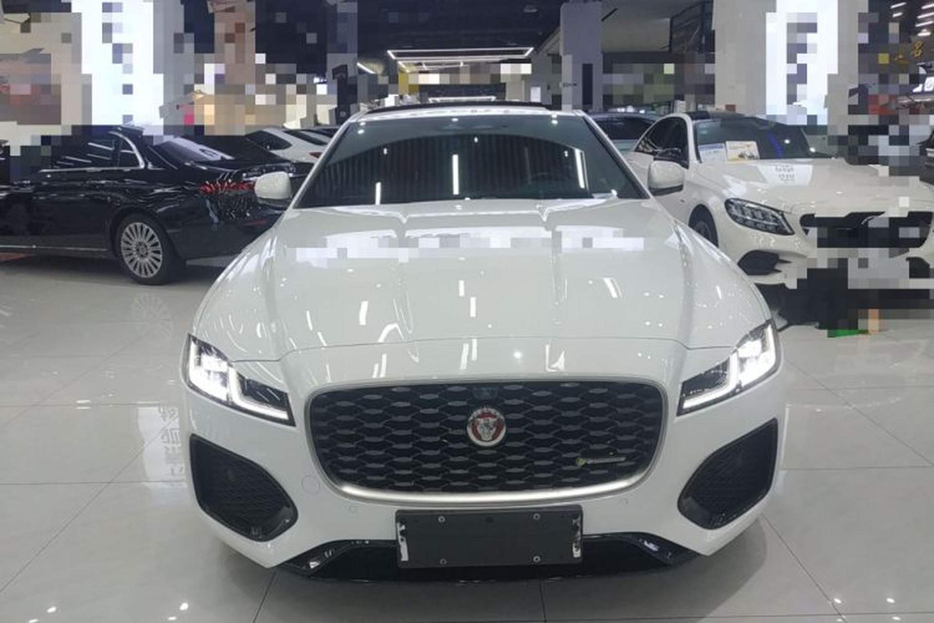 Used Jaguar XFL 2023 XFL 2.0T P250 Two-Wheel-Drive Elite Sport Edition Front