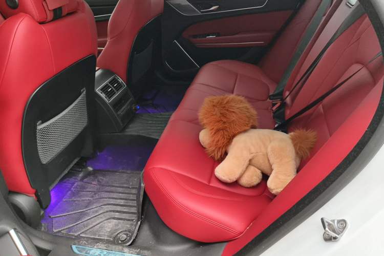 Used Jaguar XFL 2023 XFL 2.0T P250 Two-Wheel-Drive Elite Sport Edition Left Rear Seat