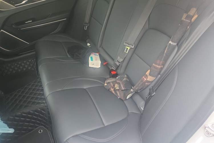 Used Jaguar XFL 2023 XFL 2.0T P250 Two-Wheel-Drive Elite Sport Edition Left Rear Seat