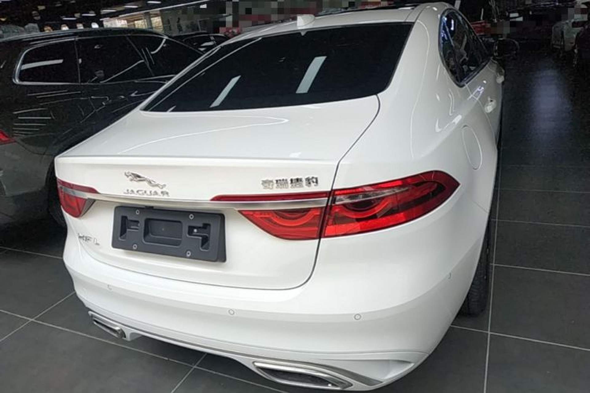 Used Jaguar XFL 2023 XFL 2.0T P200 Two-Wheel-Drive Elite Luxury Edition Rear