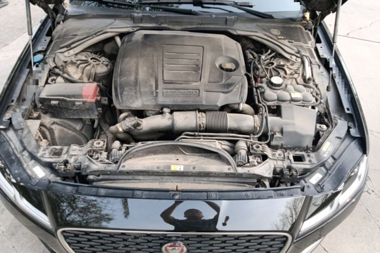 Used Jaguar XFL 2024 2.0T P250 Two-Wheel Drive Prestige Luxury Edition Engine Bay
