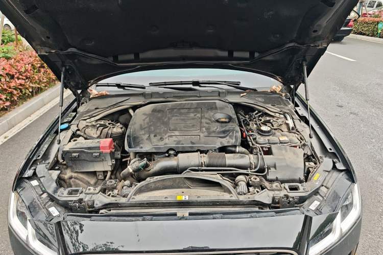 Used Jaguar XFL 2024 2.0T P250 Two-Wheel Drive Prestige Luxury Edition Engine Bay