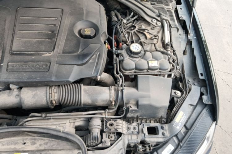 Used Jaguar XFL 2024 2.0T P250 Two-Wheel Drive Prestige Luxury Edition Engine Bay Left