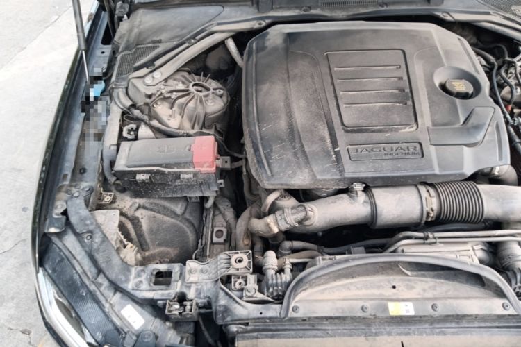 Used Jaguar XFL 2024 2.0T P250 Two-Wheel Drive Prestige Luxury Edition Engine Bay Right