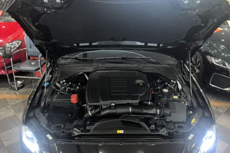 Used Jaguar XFL 2024 2.0T P250 Two-Wheel Drive Prestige Luxury Edition Engine Bay