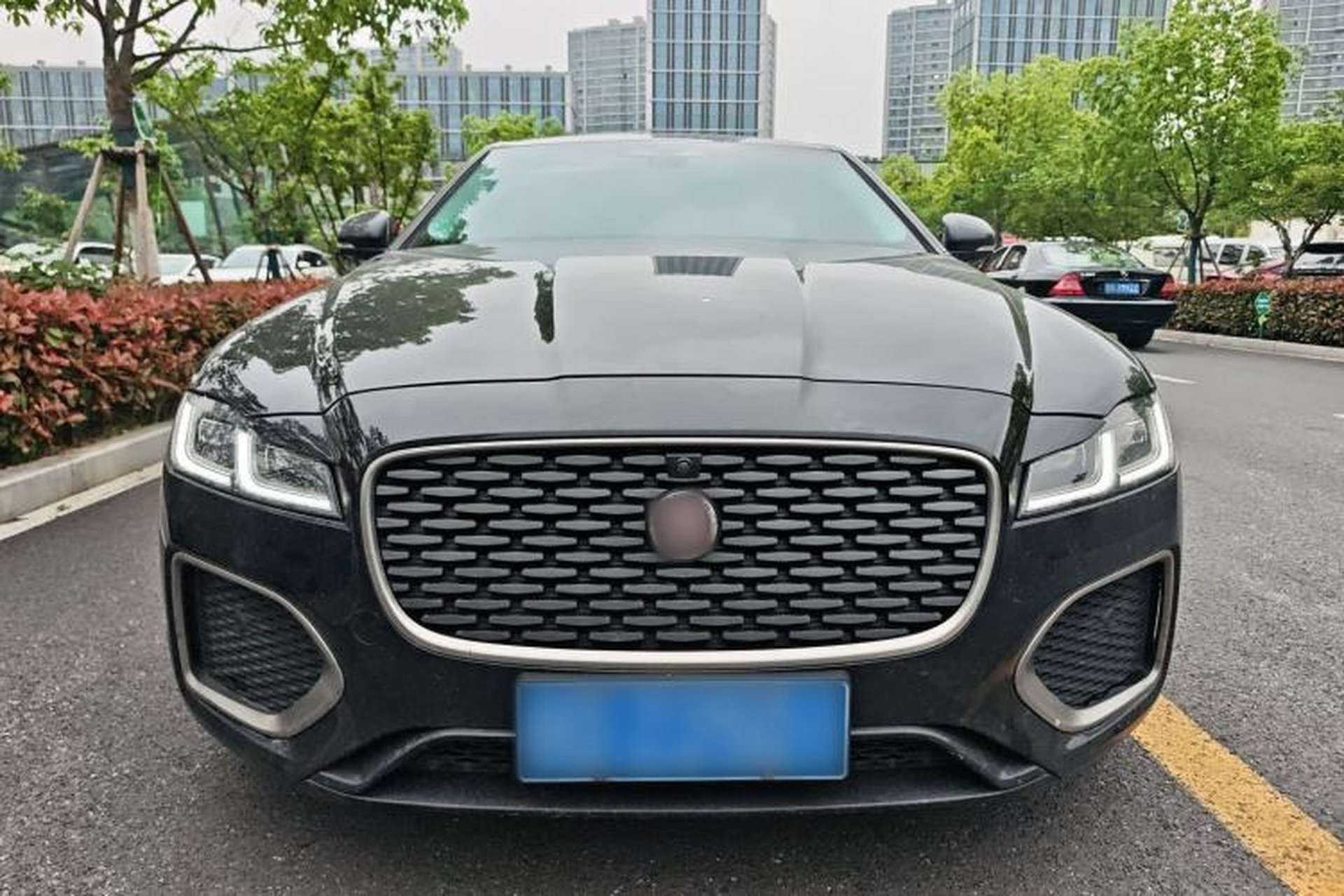 Used Jaguar XFL 2024 2.0T P250 Two-Wheel Drive Prestige Luxury Edition Front