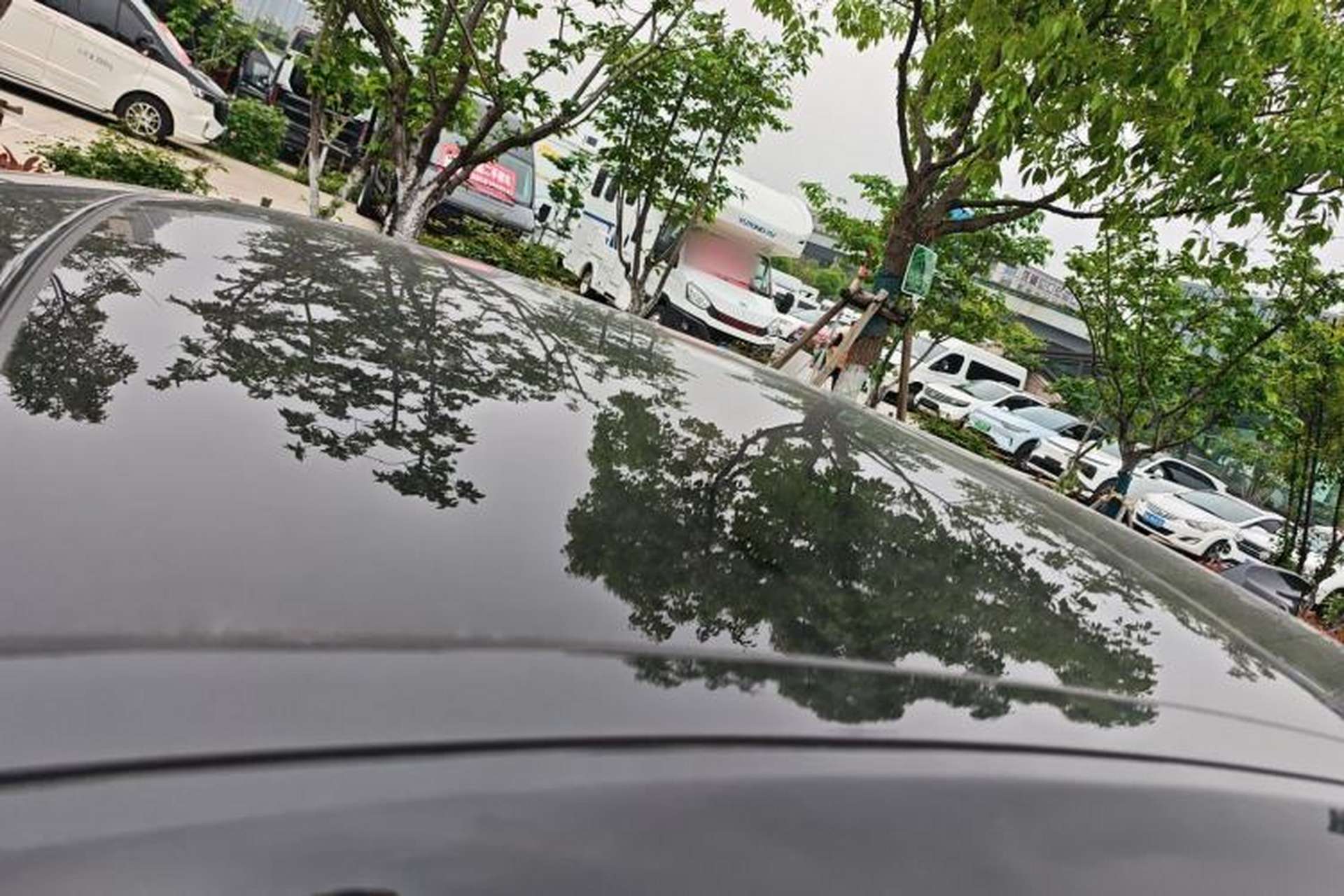 Used Jaguar XFL 2024 2.0T P250 Two-Wheel Drive Prestige Luxury Edition Roof