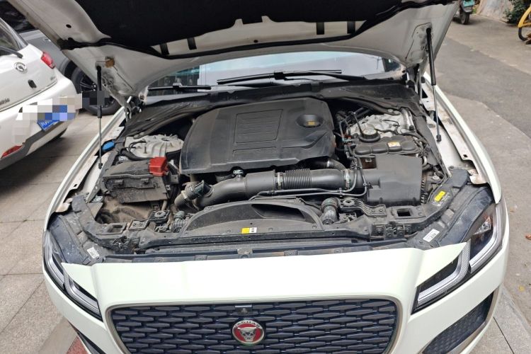 Used Jaguar XFL 2024 2.0T P250 Two-Wheel Drive Prestige Luxury Edition Engine Bay